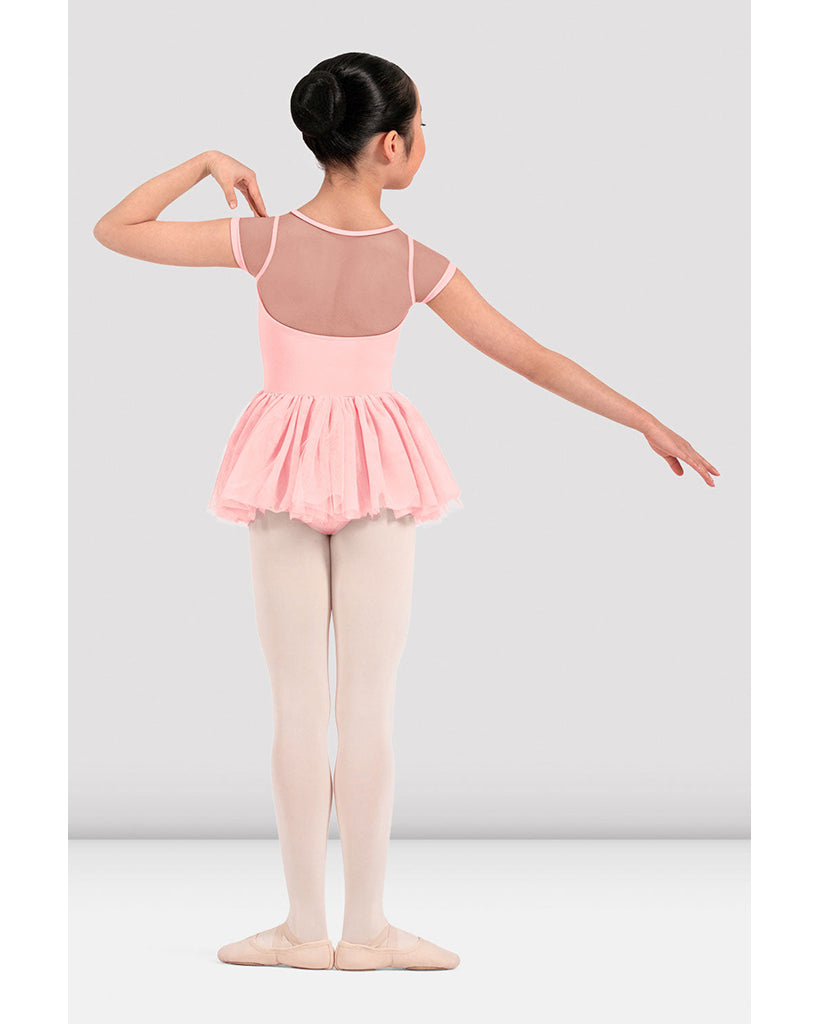 Mirella Floral Embroidered Mesh Cap Sleeve Tutu Ballet Dress - M20012C Girls